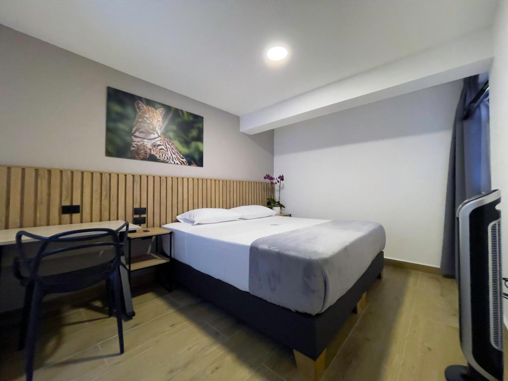 Vita Hotel Boutique Medellín Eksteriør bilde